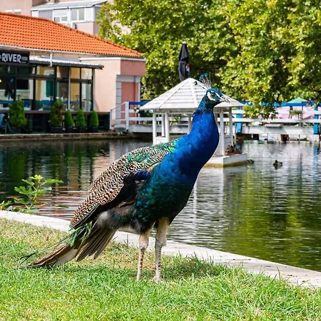 Split View 2 Bedrooms Luxury 90 M2