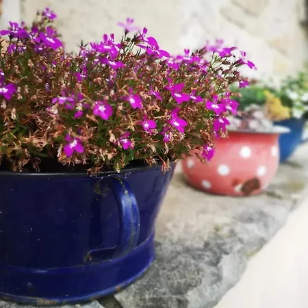 Split View 2 Bedrooms Luxury 90 M2 Lägenhet